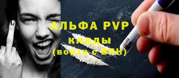 мдпв Ладушкин