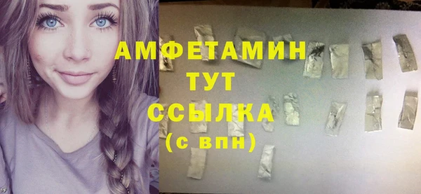 мдпв Ладушкин