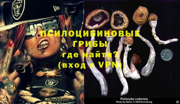 а пвп мука Лагань