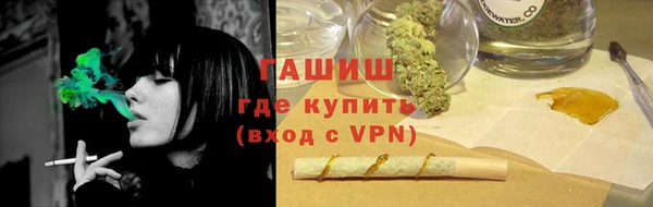 мдпв Ладушкин