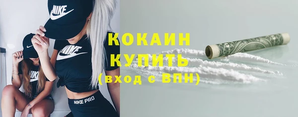 мдпв Ладушкин