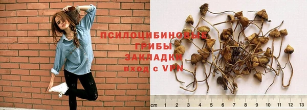 а пвп мука Лагань
