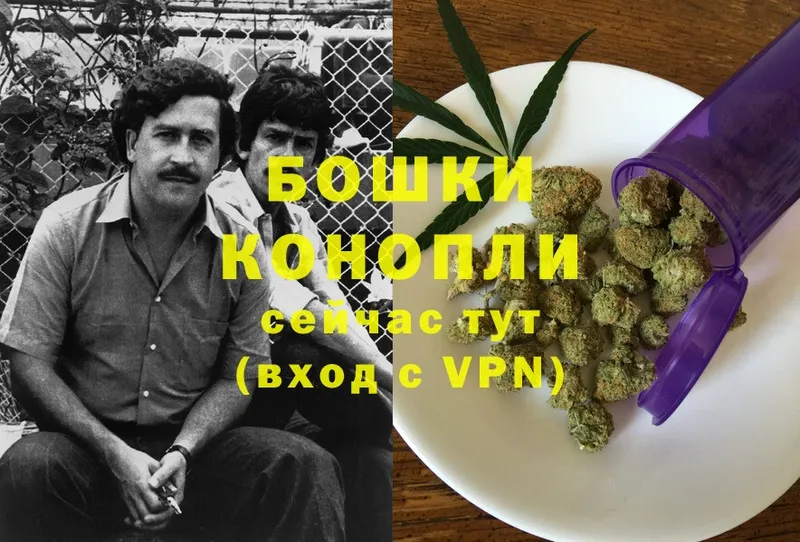 сколько стоит  Дмитровск  Бошки Шишки White Widow 